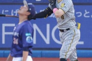 プロ野球、ＡＳ後なぜか急にホームランが出まくってしまうwwwwwwwwwwwwwwwwwwww