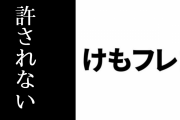 おすすめされた「けものフレンズ２」を見た人の感想