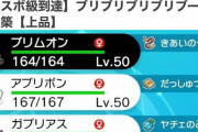 【ポケモン】俺の作った渾身の「ブリブリブリブリブーブー構築」を見てくれ