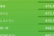 【緊急】俺の支出がやばい件 → 何この金持ちｗｗｗ（※画像あり）