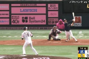 ヤクルト・塩見　バースデーアーチとなる第10号2ラン！