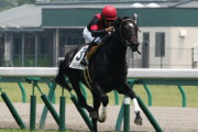 【競馬】G1レーシングが社員を募集している件