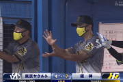 阪神タイガースの対球団別成績ｗｗｗｗｗｗ