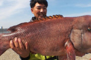 関東のファミリー釣り場に出没する“得体のしれない巨大魚”…3年かけて釣り上げた“100cm超え魚種”狙いの「リアル・海のぬし釣り」を徹底レポート！