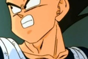 【ドラゴンボール】サイヤ人王子ベジータの生涯成績　17勝7敗2分ｗｗｗｗｗ