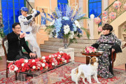 【朗報】徹子の部屋「大谷翔平スペシャル」の視聴率ｗｗｗｗｗｗｗｗｗ