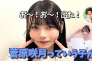 【代打】バーダック推しでゼロサム使いの岡本姫奈