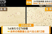 【悲報】花粉、去年の12倍WWWWWWWWWWWWWWWWWWWWWWWWWWWWWWWWWWWWWWWWWW