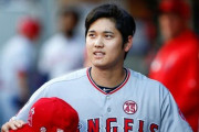 「大谷大谷って騒ぎすぎ！大谷並の選手なら韓国台湾出身者でもざらにいる！だから国民なんてちょろいとアベスガにバカにされるのだ！」