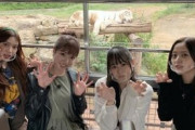 【乃木坂46】『この4人』の平均偏差値wwwwwwwwww