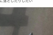 【悲報】日本人さん「財布の中に”これ”入れて外国人の前でわざと落としたろ！w」(ﾊﾟｼｬｯ