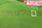 【画像】高知県本山町 棚田アート「マジで間違えてたみたい」「見に行く人増えそうw」