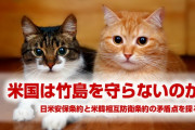 韓国政府が「米国は竹島を防衛する義務がある」と主張している理由がやばすぎた！　米韓相互防衛条約にとんでもない矛盾点が存在していた！