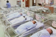 【減る朝鮮】韓国の20年出生数が初の30万人割れ　出生率は過去最低0．84　