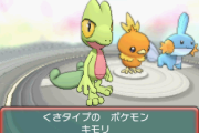 【悲報】ポケモンのキモリ、めちゃくちゃ人気が無かったｗｗｗｗｗｗｗｗｗｗｗｗｗ