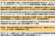 自民総裁選で注目された選択的夫婦別姓制度が公約で後回しになる理由　ジェンダー平等は争点化されにくい？各党の主張を読むポイントを聞く【衆院選2024】