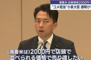【朗報】セクシーライス大臣小泉進次郎、明日もう米2000円の契約開始ｗｗｗｗｗｗ