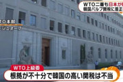 ウリは勝ったがチョッパリに配慮して是正してやるから輸出規制止めろニダ！　〜　【？】韓国政府、日本に大勝利したWTO紛争について是正することを表明