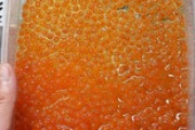 1.3キロのイクラ作った（※画像あり）
