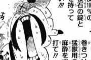 【ONEPIECE -ワンピース】ワンピースって海楼石とかいうの粉末にして撒けば能力者ただの雑魚じゃね？？？？？