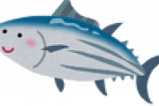 【魚】カツオが豊漁で値崩れ中