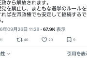なるほど、革命でも無いとパヨクに政権が渡らんからか　〜　パヨさん「自民党を禁止し、まともな選挙のルールを整備すれば左派政権でも安定して継続するでしょう」