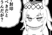 【ウマ娘】いまだによくわからない。←「私はいいと思う」