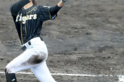 【悲報】「美人すぎる外野手」阪神タイガースWomen高塚南海が現役引退　11・13甲子園で引退試合