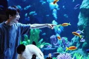 中国人「日本の水族館のお土産、かわいすぎて最高」　中国人「かわいい！！」「リアルなのだろうけど複雑な気持ち」