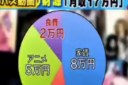 【悲報】オタクが「オタ活」に金をかけられる理由がこれらしいｗｗｗｗ
