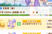 【ウマ娘】餓狼ナリブは勝ってるけど水饅頭が勝ってるとこ見たことないんだけどホントに強いんか？