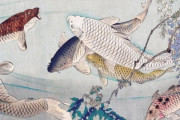韓国人「200年前の日本庶民が描いた“鯉の絵”が、なぜヨーロッパ芸術に影響を与えたんですか？」