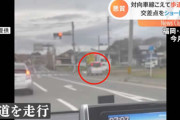 大胆すぎる！「信号赤！！でも華麗にスルー」と歩道を走りショートカットする軽自動車