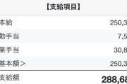 【画像】今年結婚するワイ(25)の今月の給料