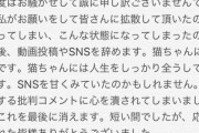【訃報】まんさん「おっ●いサムネ＋捨て猫拾いましたでYouTube覇権やろなあ」→結果ｗｗ