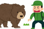 【悲報】北海道のヒグマ、米軍特殊部隊並の強さだった