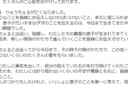 【速報】りゅうちぇる元妻ぺこさん、お気持ち表明。悲しすぎるだろ…