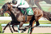 【競馬予想】[1] 第40回マイルチャンピオンシップ(GⅠ) /2023