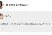 【乃木坂46】堀未央奈「好きな四字熟語は『炊き出し』かも・・・」