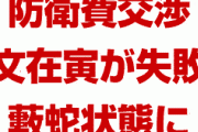 韓国文在寅、米軍防衛費交渉でも大失敗！　「米国産武器を買ってるから見逃せ？その10倍以上の韓国車を我々は買っている」　どうすんのこれ…