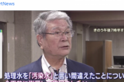 【カミツキブーメラン】二重国籍問題で記憶違いと言い訳した蓮舫さん「記憶を簡単に無くす農水大臣は即刻辞任を」