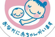 妊娠中の女性芸人「マタニティマークを付けて『水戸黄門様の印籠』気分でワクワクしたのに、◯◯が独占して優先席譲ってもらえない。優先席は空けといてほしい」