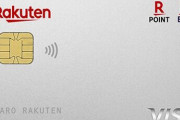 楽天カード申し込みたいんやけど、職業「ソルジャー」とかでもいいの？
