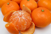 【画像】ミカンの家系図🍊、ヤバ過ぎるｗｗｗｗｗｗｗ