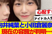 【櫻坂46】向井純葉と小田倉麗奈の容態がやばい…【#そこ曲がったら櫻坂 #自業自得  #三期生 #ミーグリ #オタの反応集 】