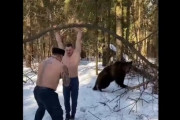 【朗報】クマさん、人間のトレーニングをお手伝い