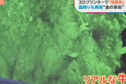 【動画】最新の培養肉、めちゃくちゃリアル