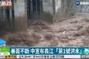 【中国】長江「2020年第1号洪水」が上流で発生（動画あり）