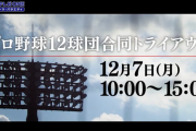 プロ野球 合同トライアウトまであと3日w w w w w w w w w w w w w w
