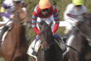 【競馬・関東オークス】セラン武豊wwwwwwwwwwwwww